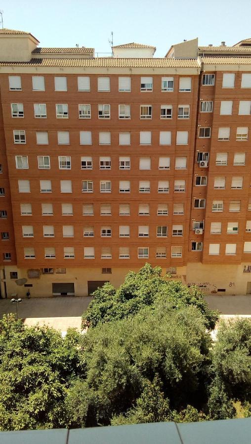 カステリョン・デ・ラ・プラナPiso Acogedor Y Alegre En Castellonアパートメント エクステリア 写真